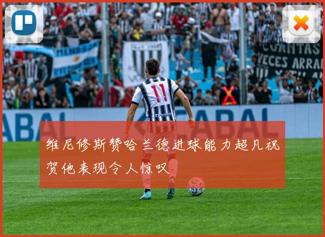 维尼修斯赞哈兰德进球能力超凡祝贺他表现令人惊叹