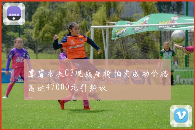 霉霉东决G3观战座椅拍卖成功价格高达47000元引热议
