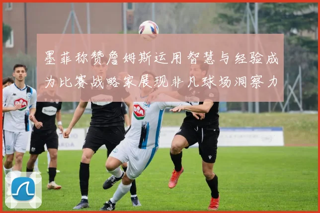 墨菲称赞詹姆斯运用智慧与经验成为比赛战略家展现非凡球场洞察力